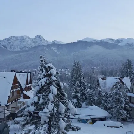 Проживание в семье Sowa