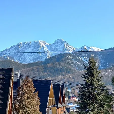 Sowa Kościelisko