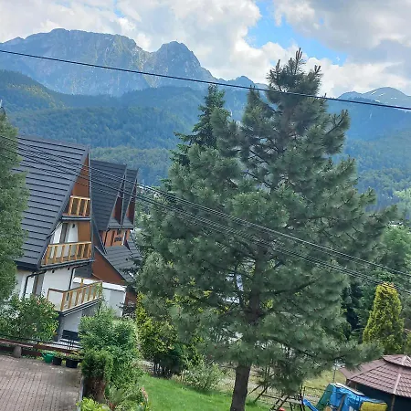 Проживание в семье Sowa