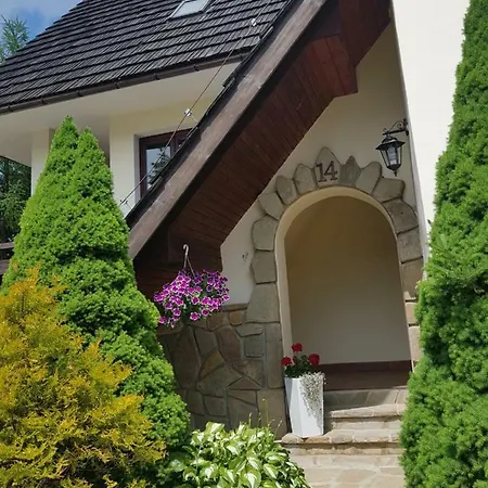 Sowa Kościelisko